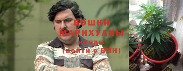 сатива Балахна