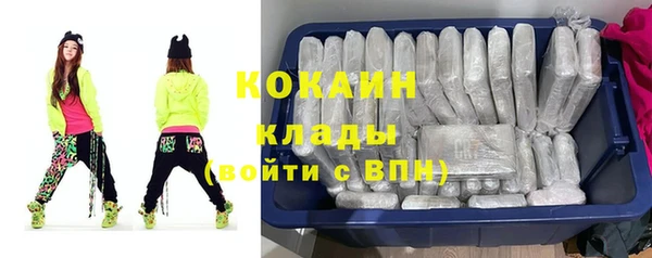 сатива Балахна