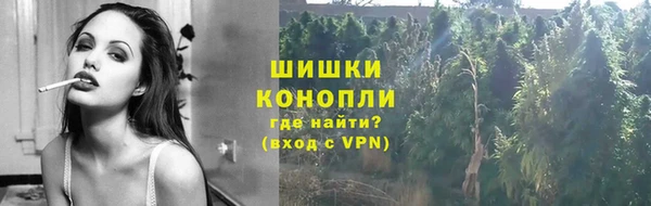 сатива Балахна