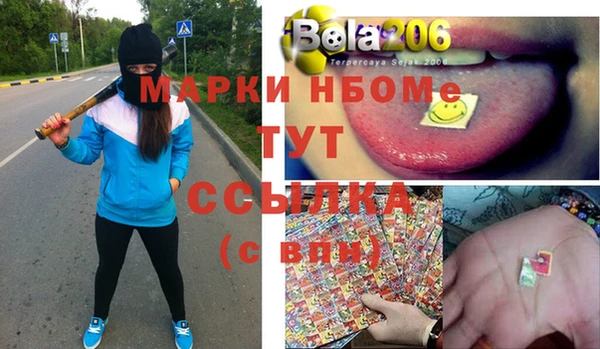 сатива Балахна
