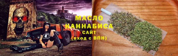 сатива Балахна