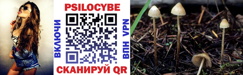 Псилоцибиновые грибы Psilocybe  Купить где  Бугуруслан 